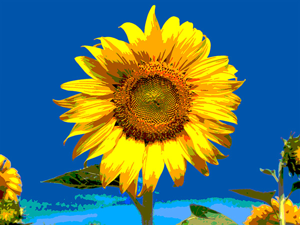 Posterize Posterize
