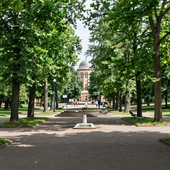 Park