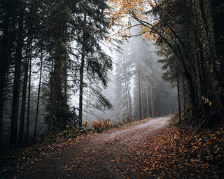 Wetter im Foto ändern