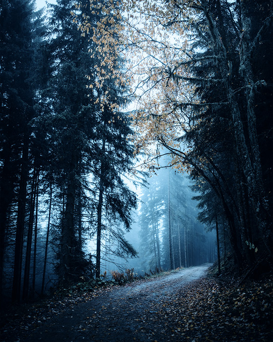 Added Cold Tones Added Cold Tones