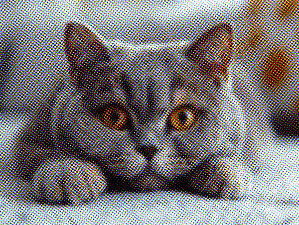 Color Halftone Color Halftone