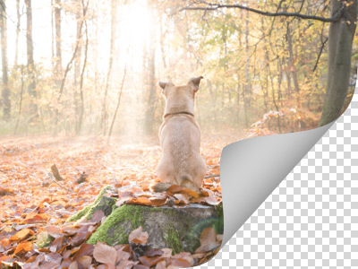 Gradient = 25 Gradient = 25