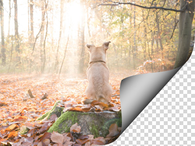 Gradient = 75 Gradient = 75