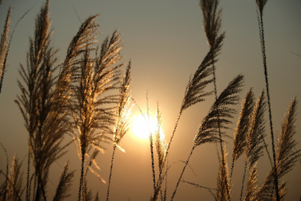 Применение эффекта Диффузия