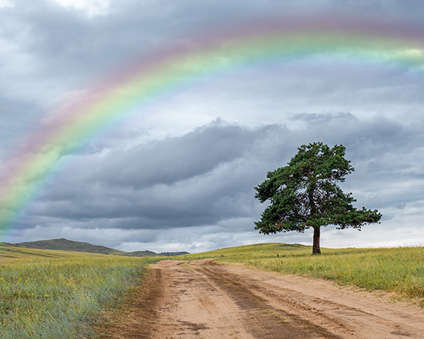 Rainbow Rainbow