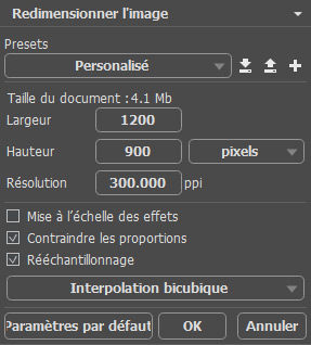 Boîte de dialogue Redimensionner l'image Boîte de dialogue Redimensionner l'image