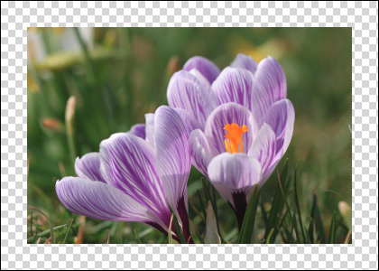 Increasing Canvas Size Increasing Canvas Size