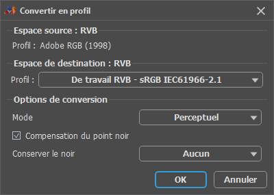 Convertir en profil Convertir en profil