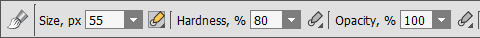 Assigning the Parameter to the Stylus Option Assigning the Parameter to the Stylus Option