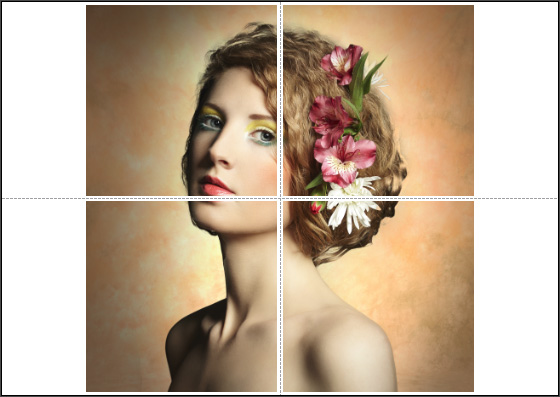 Large Format Printing on Multiple Pages Large Format Printing on Multiple Pages