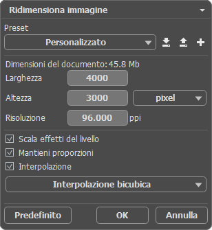 Dimensioni immagine Dimensioni immagine
