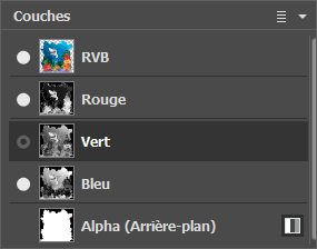 La couche Vert est sélectionnée La couche Vert est sélectionnée