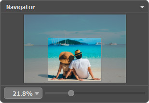 Navigator Navigator
