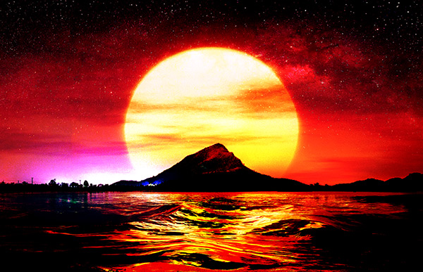 Vivid Light Vivid Light
