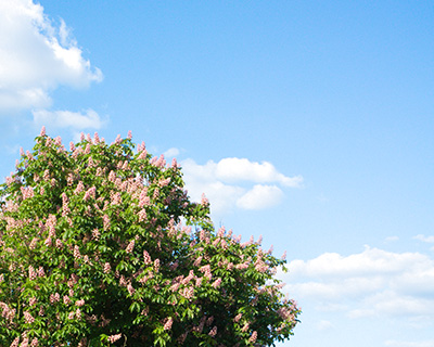 Cielo chiaro