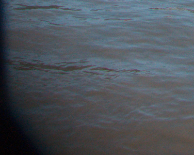 Shaded Edges Shaded Edges