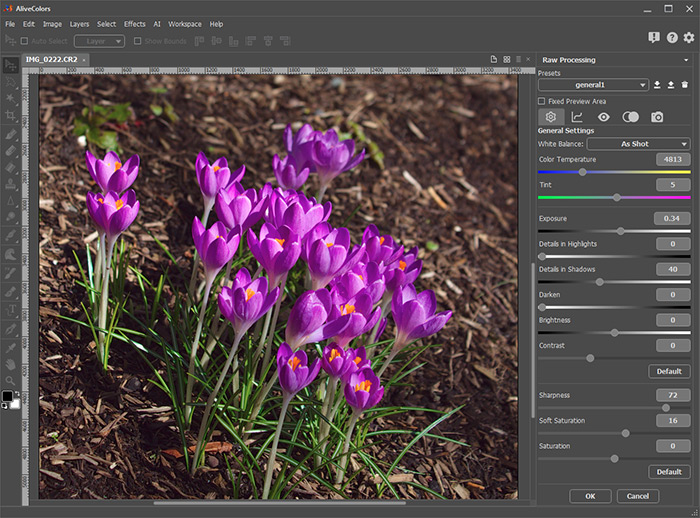 RAW Editing Mode RAW Editing Mode