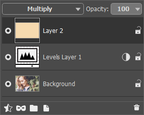 Layers Panel