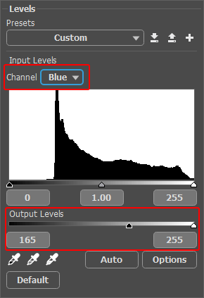 Levels Adjustment Layer Levels Adjustment Layer
