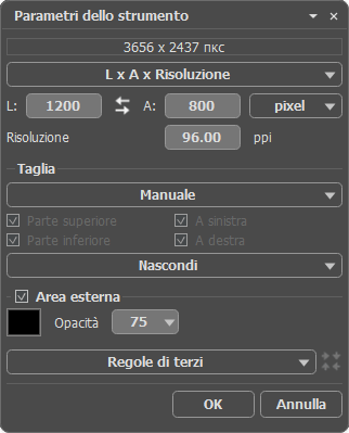 Opzioni dello strumento Opzioni dello strumento