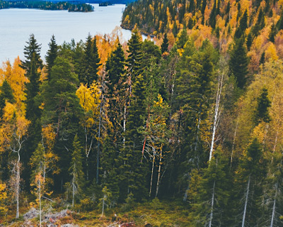 Soft Brush Edge Soft Brush Edge