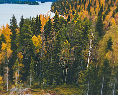 Hard Brush Edge Hard Brush Edge