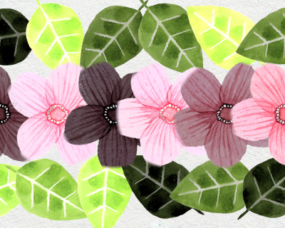 Brightness Variation = 50 Brightness Variation = 50