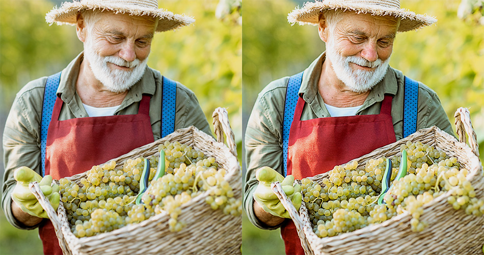 Grape Gatherings