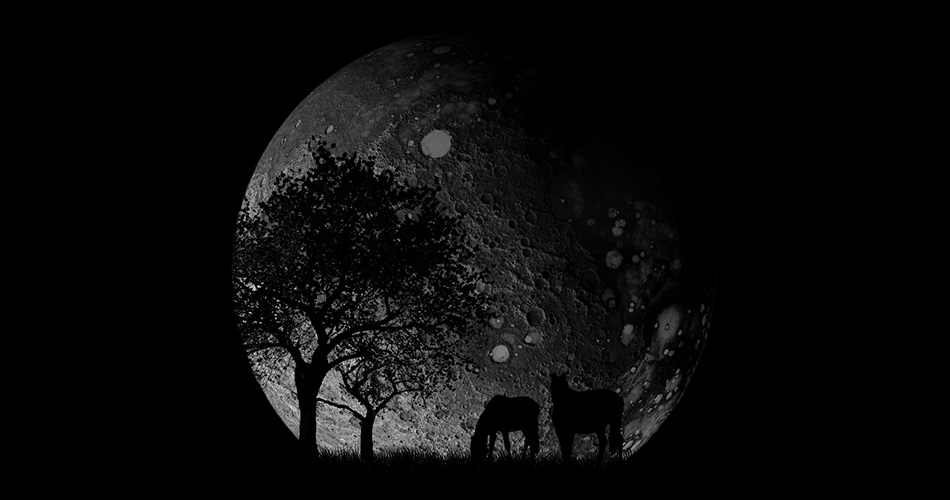 Shadow Painting