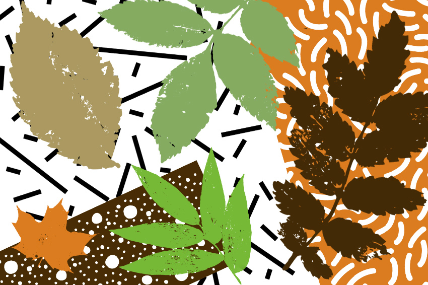 New Brush Shapes and Textures New Brush Shapes and Textures